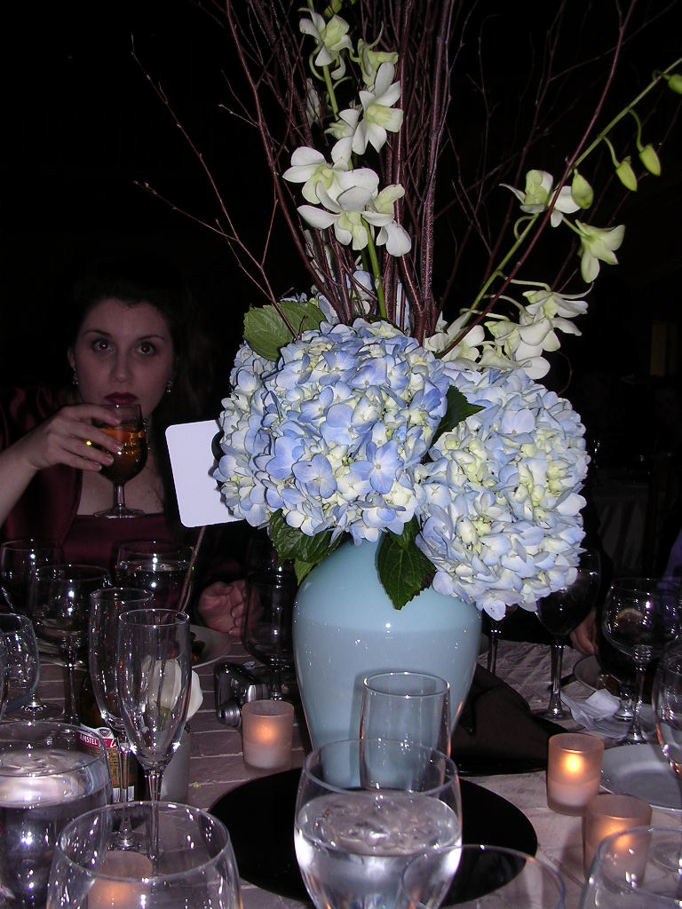 Erins Pictures 117.jpg